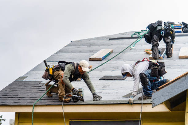 Professional Gutter Installation technician working in Winterville, GA